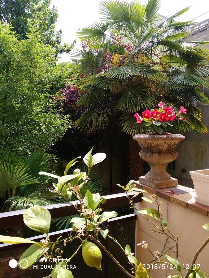 Appartement Charmant A Alfortville 30M² Terrasse Et Jardin Luaran gambar